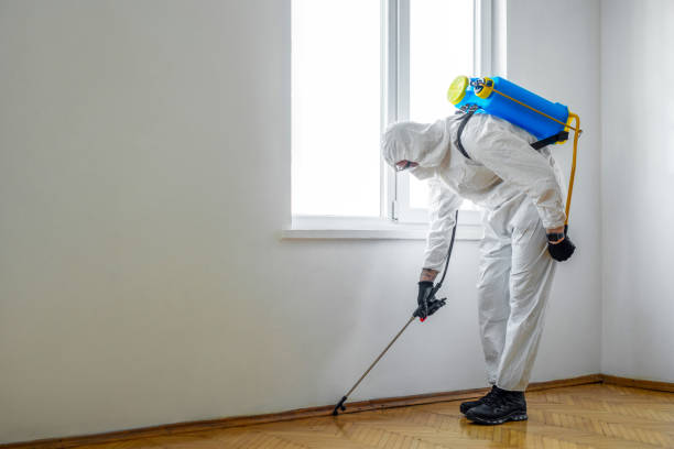 Best Wasp Removal Services  in Greenwood Lake, NY