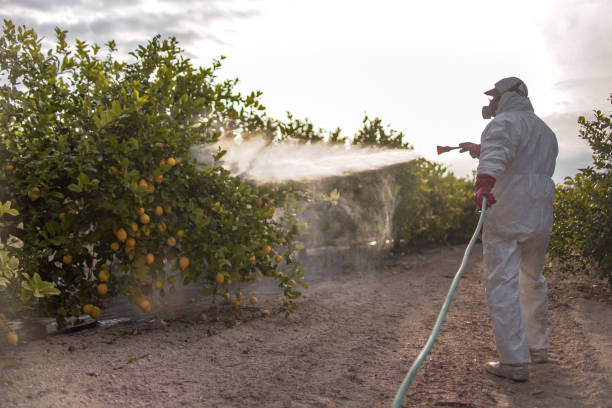 Best Local Pest Control Services  in Greenwood Lake, NY